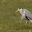 thumbs/IMG_4005.jpg